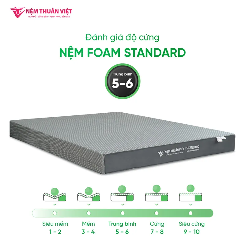 info-standard-2-standard-800