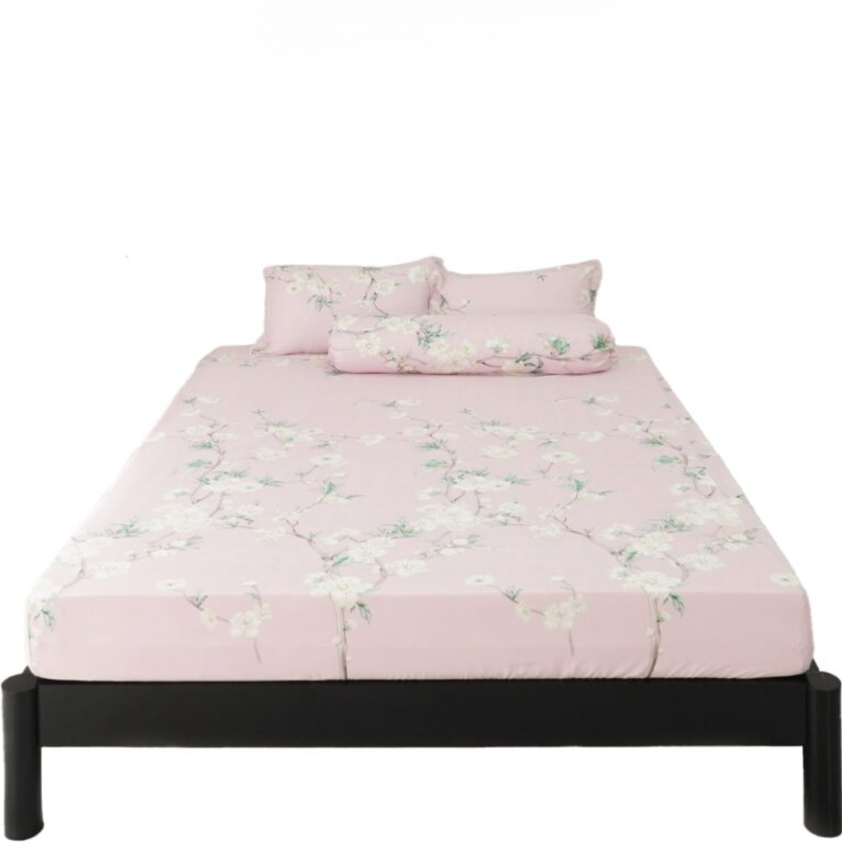 Tặng Drap tencel số 5 Tặng Drap tencel số 5