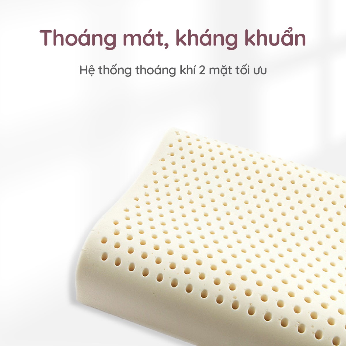 Tặng gối cao su 4 Tặng gối cao su 4